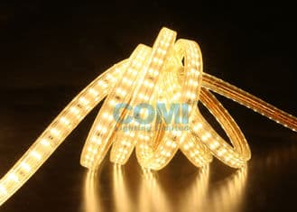 2 Rows Type High Voltage LED Strip Light Flexible